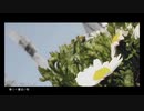春に一番近い街 歌ってみったん