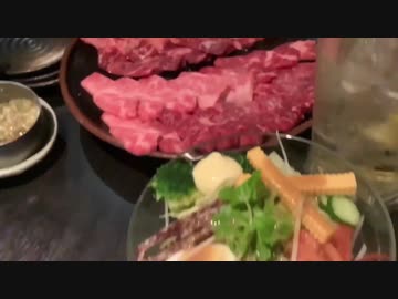 Yumeneko World Food #94 inflight meal and arcade games and pinballs in NYC 夢ねこNYCゲーム旅行とJFK新機材ごはん