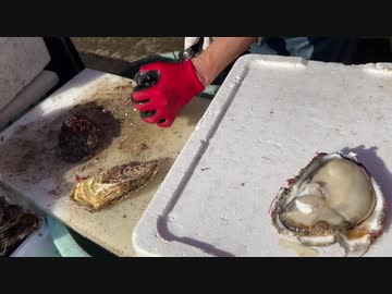 沖縄出張と茨城