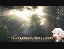 死にそうなので散歩します。15日目【Find Out】