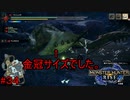 【実況】MHR#34　デカいの出過ぎじゃない？