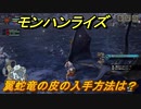モンハンライズ　翼蛇竜の皮の入手方法は？　＃３４２【ＭＨＲ】