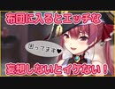 朝と夜のルーティーンが大体性欲で構成させている宝鐘マリン【ホロライブ切り抜き】