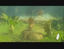 【ゼルダの伝説BOTW】目が覚めたらお米になっていた_Part64(ゆっくり)