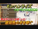 モンハンライズ　集会所クエスト攻略（上位）　琥珀色の牙を研ぐ　上位ベリオロス素材集め　＃３４８【ＭＨＲ】