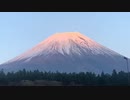 2021/04/18放送【16日目 富士山、夕方から夜の定点ライブ 朝霧高原】猫と車中泊　日本縦断　サイコロの旅　北海道にたどり着けるか？【旅猫あずき～保護猫から旅猫へ～】