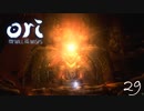 オリとわたしとウィスプの意志 Part.29