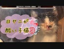 【子猫】子猫の顔が酷かったので保護しました まとめ3 The kitten's face was terrible and was protected Summary 3
