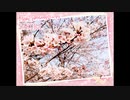 【桜音ハルカ】『SAKURA』【生歌ってみた・生歌超投稿祭2021】