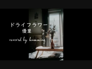 ドライフラワー/優里 【covered by humming】
