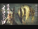 ヌコとワンコと叔父さんの狩猟生活Part26