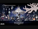 【虫嫌いがやる】Hollow Knight　part45（終）【実況】