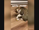 【アーティ】ミッフィーと戯れる【miffy】