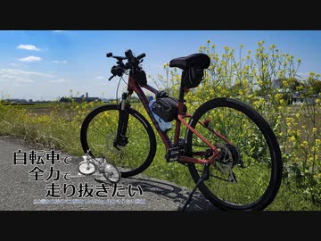 自転車で全力で走り抜きたい『田川・鬼怒川CR 菜の花を添えて』