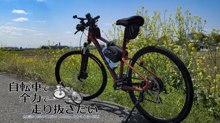 自転車で全力で走り抜きたい『田川・鬼怒川CR 菜の花を添えて』