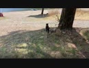 2021/04/19放送【17日目 本日2回目のあずにゃんぽ！】猫と車中泊　日本縦断　サイコロの旅　北海道にたどり着けるか？【旅猫あずき～保護猫から旅猫へ～】