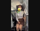 CAさんってなんかいいですよね？　なんでやろ？　tiktok