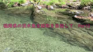 福岡県の淡水魚全採取を目指してPart3