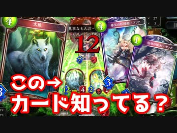 【 シャドバ 】おい‼5年間誰も使ってこなかったこのカード使ってみろ‼今の環境ならイケる‼と思ってたら一瞬でMPが2000溶けたぞ‼【 Shadowverse シャドウバース 】