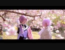 【47tsコスプレ】桜、ほころんで【丹i波オリジナル物語】