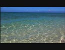 【ニコ夏】ずっと波音のターン・・・と蝉