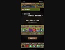 【パズドラ】秘才の氷城 ソロ周回編成