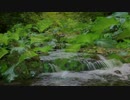 作業集中用BGM 長野の川＋雨の音。立体音響＋アルファー波で脳まで届く！！！！