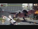 【MH RISE ver1.1.2】 英俊豪傑 ヘビィ(散弾) 06'59"62