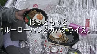 ほっともっと　ルーローハンとガパオライス。