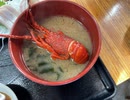 夢ねこ世界を喰らう #94 館山の相浜亭で伊勢海老丸ごとお味噌汁な相浜定食と伊豆戸田の深海魚