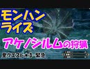 【MHRise】里★3-緊急　変幻の唐傘（アケノシルム１頭の狩猟）