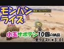 【MHRise】里★3-01　仰天！サボテンで満点ボディ（小玉サボテン10個の納品）