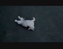 駄々っ子アルフィノ　＃228