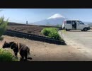 2021/04/20放送【18日目 道の駅なるさわ買い物】猫と車中泊　日本縦断　サイコロの旅　北海道にたどり着けるか？【旅猫あずき～保護猫から旅猫へ～】