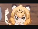 ↑青春ジャケット↑