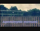 Apocalyptic carousel feat.初音ミク＆CHIPSPEECH