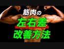 【筋トレ】筋肉の左右差を改善する方法【ビーレジェンド プロテイン】