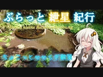 ぶらっと紲星紀行～せせらぎ散策してみました♪ in 柿田川～