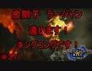 【実況】MHR#37　ラージャン登場！