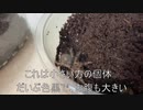 [髪を切ると]タランチュラ飼育日記その１６０[頭が軽いよね]