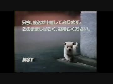 ホモと見る放送事故4　〜しばらくお待ちください〜