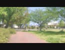 【仮面ライアー217 10周年】ファインダー 踊ってみた