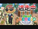 【あつ森】逃走中を森でやってみた アースデー編 in blooming島【実況】あつまれどうぶつの森
