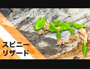 【折り紙】「スピニー・リザード」 23枚【棘】／【origami】"Spinny Lizard" 23 pieces【thorn】