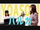 【YOASOBI】ハルカをピアノアレンジで歌ってみた