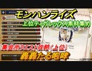 モンハンライズ　集会所クエスト攻略（上位）　轟轟たる咆哮　上位ティガレックス素材集め　＃３６９【ＭＨＲ】