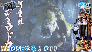 【実況】MHRISEやる！【11】
