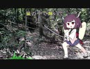 【AIきりたん】嵐の中で輝いてを歌ってもらった