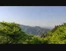 au回線で登山@高尾山20210421