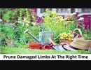 Grounds Maintenance
